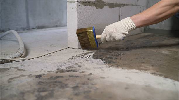 Crawl space vapor barrier installation in Millwood, WA